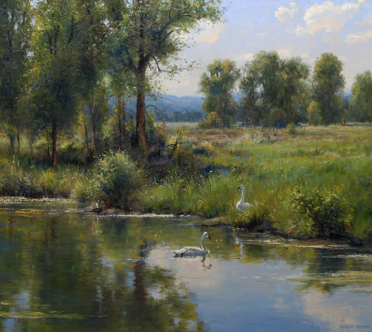 Robert Peters "Late Summer Swans" 36x40 oil - private collection