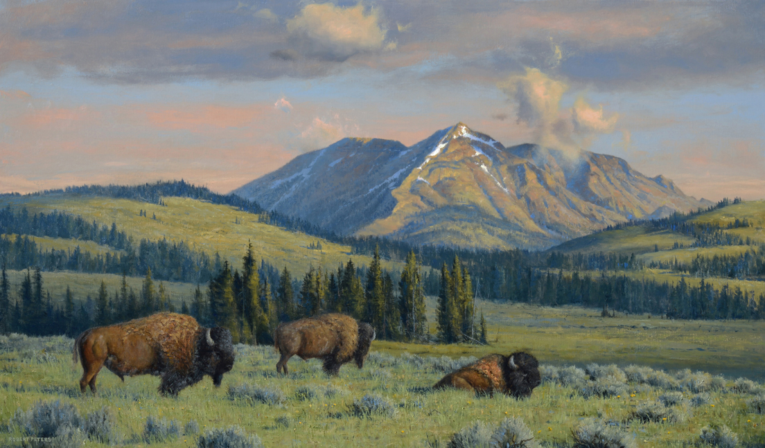 Robert Peters "Electric Peak Bulls, Yellowstone " 32x54 oil - available Legacy Gallery
