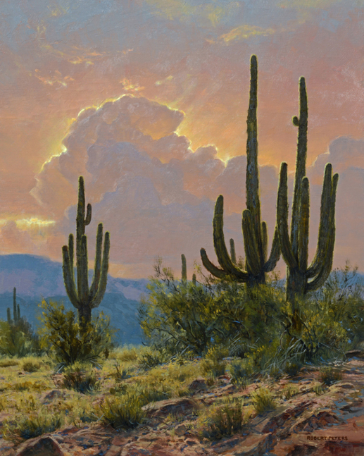 Robert Peters "Sonoran Desert Radiance" 20x16 oil - Private Collection