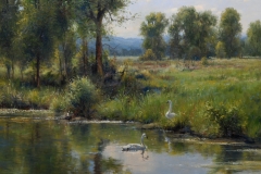 Robert Peters "Late Summer Swans" 36x40 oil - Sold, private collection