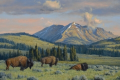 Robert Peters "Electric Peak Bulls, Yellowstone " 32x54 oil - available Legacy Gallery