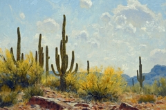 Robert Peters "Maytime, Pinto Creek Canyon" 14x18 oil - Sold, private Collection