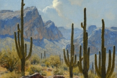 Robert Peters "Sonoran Legacy" 24x20 oil - Sold, private collection Robert Peters "Sonoran Legacy" 24x20 oil - Sold, private collection