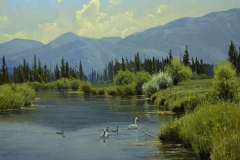 Robert Peters "Swan Valley Idyll" 30 x40 oil - Private Collection