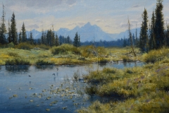 Robert Peters "The Tree Swallows" 15x24 oil - Sold, private collection