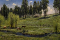 Robert Peters "Hillside in May" 36x56 oil - Private Collection