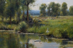 Robert Peters "Late Summer Swans" 36x40 oil - private collection