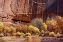 Robert Peters "Ancestral Gold, Canyon de Chelly"  32x58 oil on linen - Private Collection