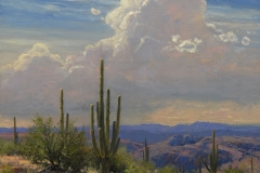 Robert Peters "Sonoran Afternoon" 18x20 oil - Private Collection